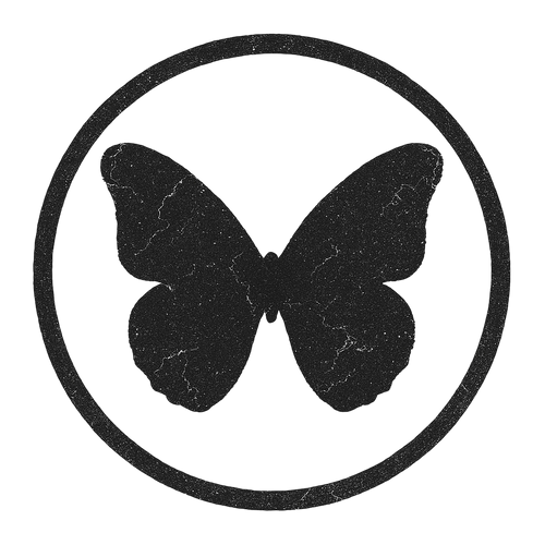 A World Without Chaos 